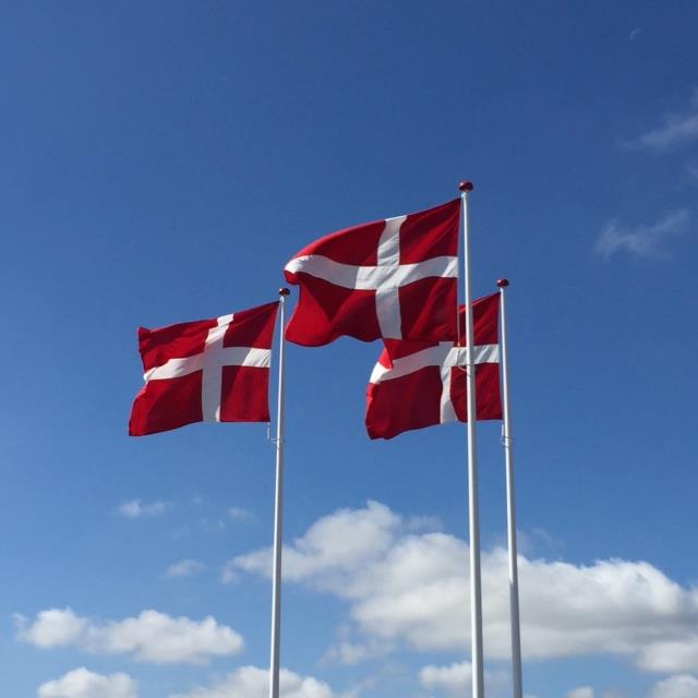 Størrelse På Dannebrogsflag | Stilling Flag A/S